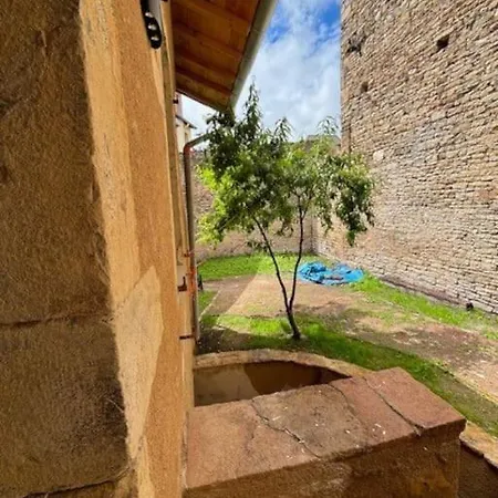 Le Patio De L'Abbaye Apartment Cluny Exterior photo